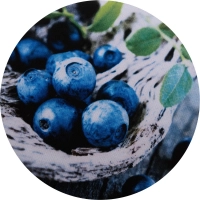 Коврик для мыши Buro BU-T60034 рисунок/голубика - Продажа и ремонт компьютерной техники "БАЙТ"