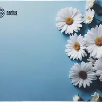 Коврик для мыши Cactus Daisies рисунок 250x200x3мм (CS-MP-D07S) - Продажа и ремонт компьютерной техники "БАЙТ"