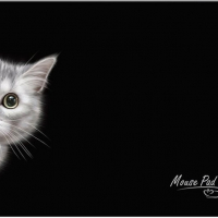 Коврик для мыши Dialog PM-H15, с рисунком кошки - Продажа и ремонт компьютерной техники "БАЙТ"