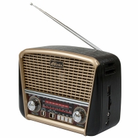 Радиоприемник Ritmix RPR-050, gold - Продажа и ремонт компьютерной техники "БАЙТ"