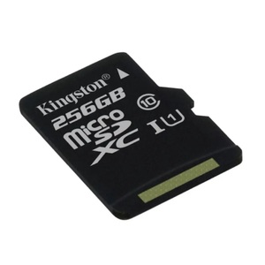 Флеш карта microSDXC 256GB Kingston SDCG4/256GBSP Canvas Go! Plus V10 A2 w/o adapter - Продажа и ремонт компьютерной техники "БАЙТ"