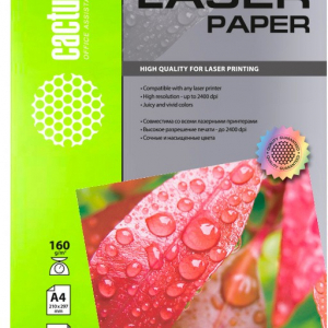 Фотобумага Cactus CS-LPA4160100 A4/160г/м2/100л./белый глянцевое для лазерной печати - Продажа и ремонт компьютерной техники "БАЙТ"