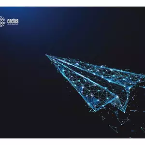 Коврик для мыши Cactus Airplane рисунок 400x300x3мм (CS-MP-PRO03XL) - Продажа и ремонт компьютерной техники "БАЙТ"